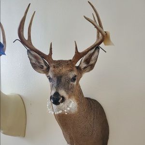 Meet your Posher, Devin